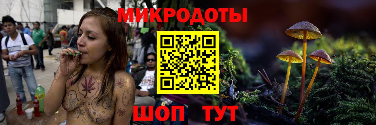 Галлюциногенные грибы Cubensis Новомосковск